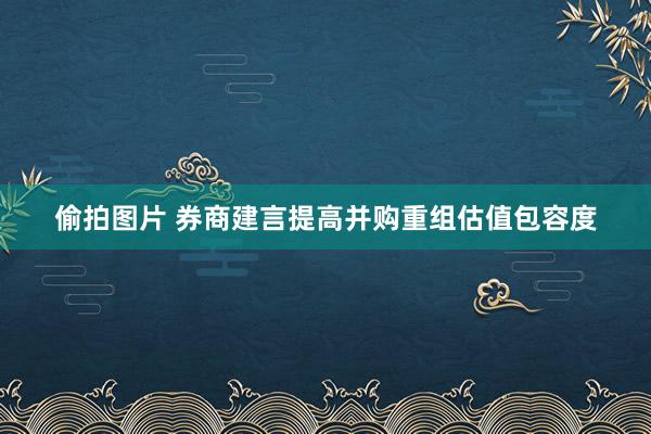 偷拍图片 券商建言提高并购重组估值包容度