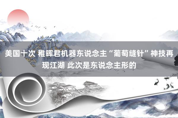 美国十次 稚晖君机器东说念主“葡萄缝针”神技再现江湖 此次是东说念主形的