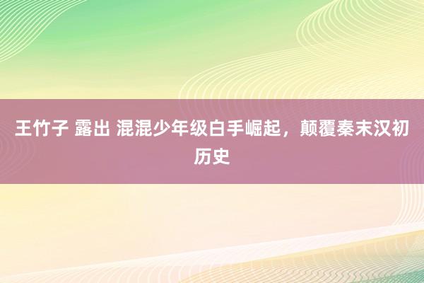 王竹子 露出 混混少年级白手崛起，颠覆秦末汉初历史