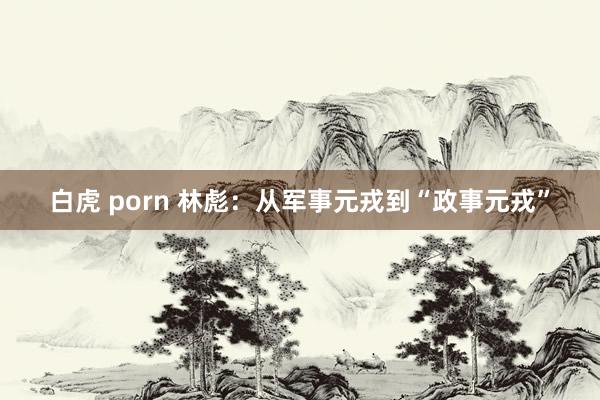 白虎 porn 林彪：从军事元戎到“政事元戎”