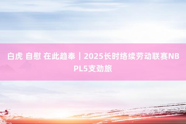 白虎 自慰 在此趋奉｜2025长时络续劳动联赛NBPL5支劲旅