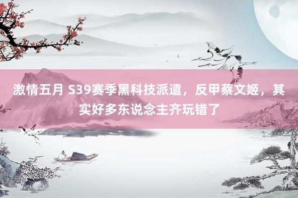 激情五月 S39赛季黑科技派遣，反甲蔡文姬，其实好多东说念主齐玩错了