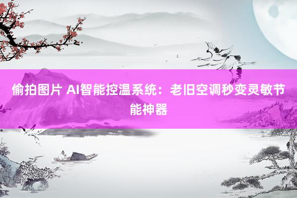 偷拍图片 AI智能控温系统：老旧空调秒变灵敏节能神器