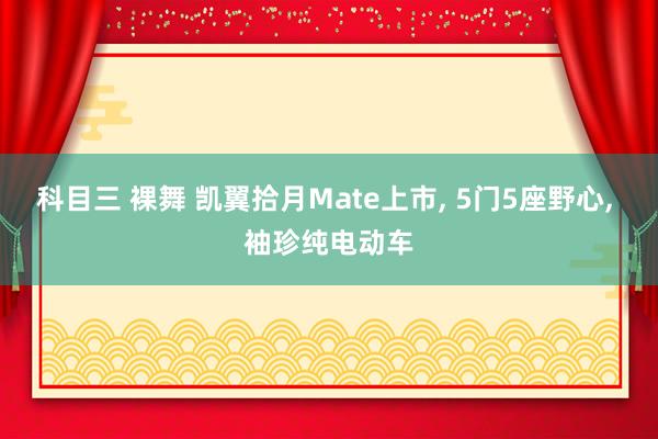 科目三 裸舞 凯翼拾月Mate上市， 5门5座野心， 袖珍纯电动车