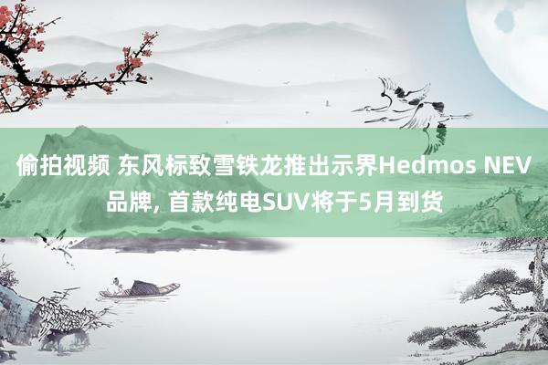 偷拍视频 东风标致雪铁龙推出示界Hedmos NEV品牌， 首款纯电SUV将于5月到货
