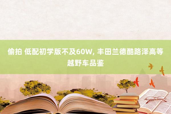 偷拍 低配初学版不及60W， 丰田兰德酷路泽高等越野车品鉴