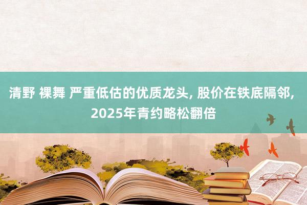 清野 裸舞 严重低估的优质龙头， 股价在铁底隔邻， 2025年青约略松翻倍