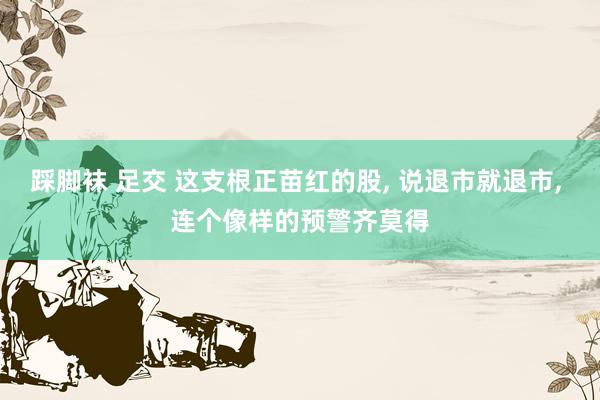 踩脚袜 足交 这支根正苗红的股， 说退市就退市， 连个像样的预警齐莫得
