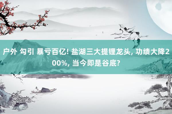 户外 勾引 暴亏百亿! 盐湖三大提锂龙头， 功绩大降200%， 当今即是谷底?