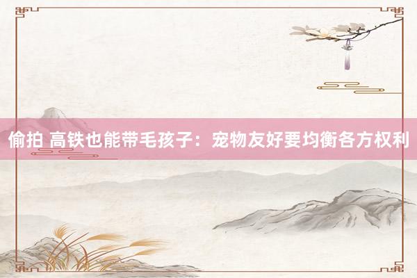 偷拍 高铁也能带毛孩子：宠物友好要均衡各方权利