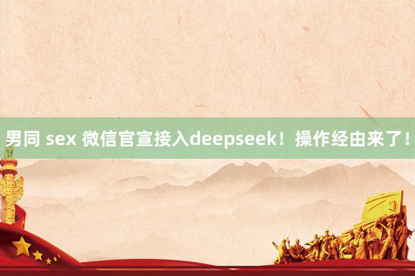 男同 sex 微信官宣接入deepseek！操作经由来了！
