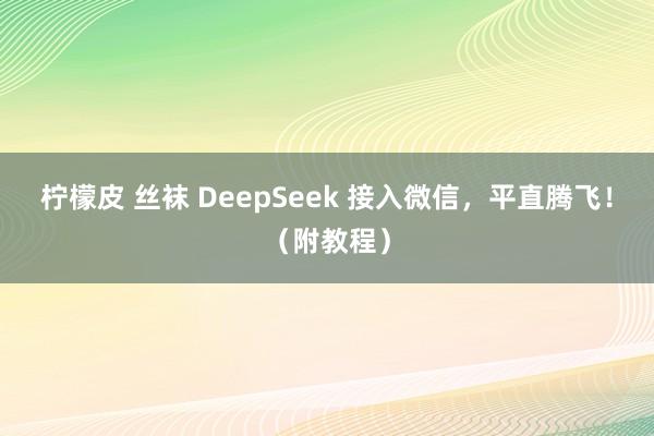 柠檬皮 丝袜 DeepSeek 接入微信，平直腾飞！（附教程）