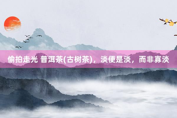 偷拍走光 普洱茶(古树茶)，淡便是淡，而非寡淡