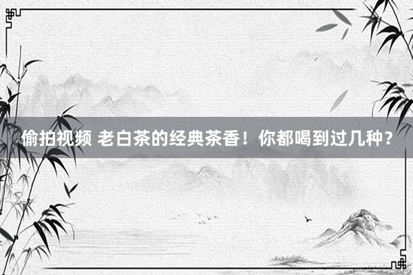 偷拍视频 老白茶的经典茶香！你都喝到过几种？