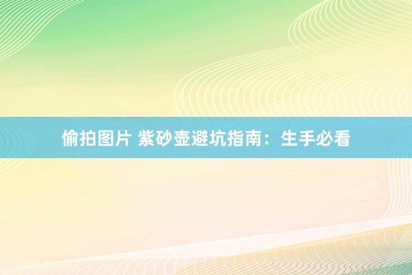 偷拍图片 紫砂壶避坑指南：生手必看